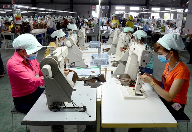 Việc phát huy vai trò tổ chức đảng đã góp phần giúp các doanh nghiệp hoạt động hiệu quả và ổn định. Trong ảnh: Xưởng sản xuất giày xuất khẩu tại Công ty cổ phần đầu tư Thái Bình.