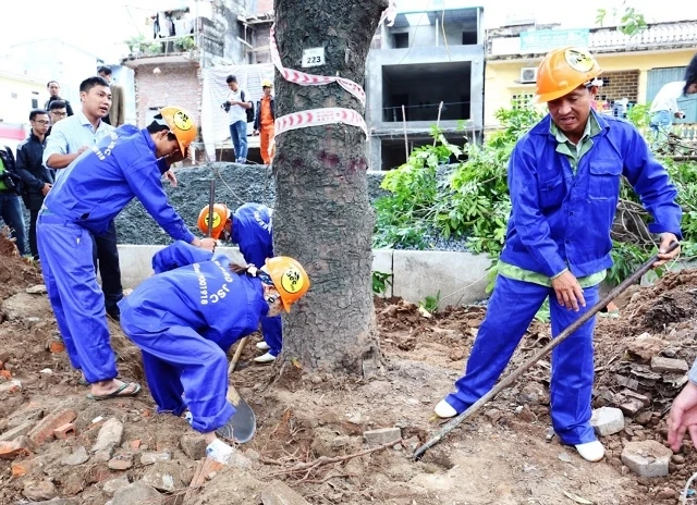 Công nhân đánh chuyển, chặt hạ 14 cây trên đường Phạm Văn Đồng, Hà Nội.