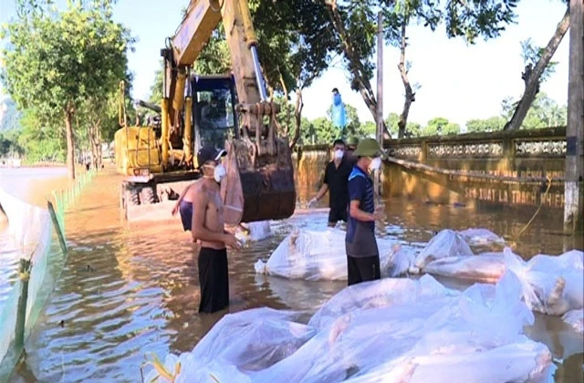 Lực lượng chức năng thu gom lợn chết trong trang trại ở huyện Yên Định đem đi tiêu hủy.