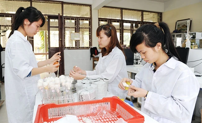 Việc công khai thông tin giúp sinh viên có thêm kênh tham khảo trong việc chọn trường, ngành học chính xác hơn. Trong ảnh: Sinh viên Học viện Nông nghiệp Việt Nam trong phòng thí nghiệm. Ảnh: THANH HÀ