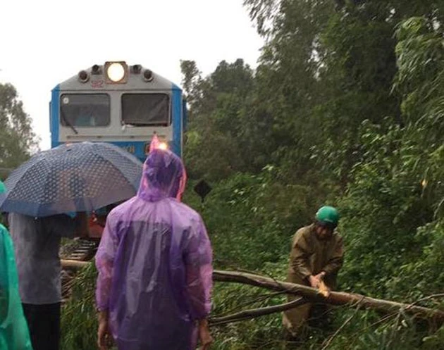 Cây đổ chặn ngang đường sắt.