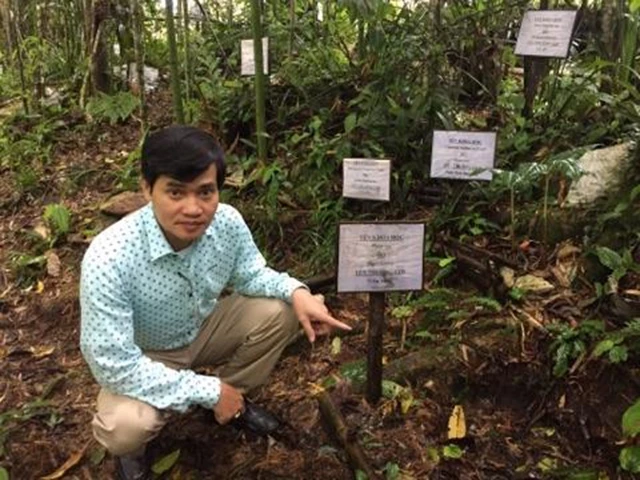 Vườn ươm giống cây dược liệu tự nhiên thuộc Dự án Phát triển nông thôn bền vững vùng Tả Phìn Hồ.