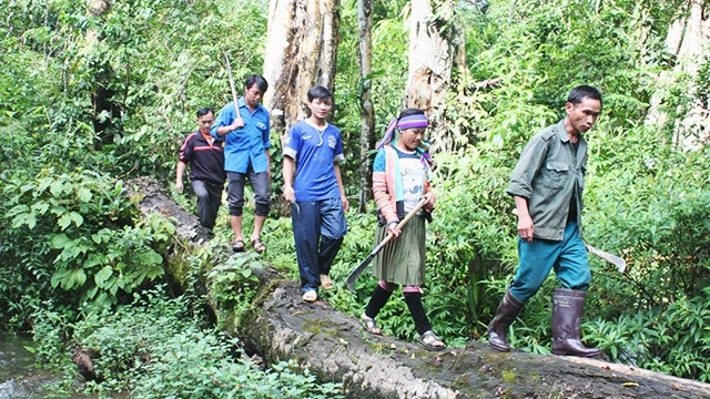 Người dân bản Seo Sáng (xã Tả Ngảo, huyện Sìn Hồ) tuần tra bảo vệ rừng.