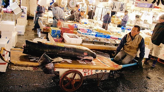 Ghé chợ Tsukiji