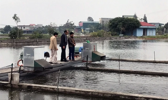 Mô hình nuôi cá trên ao nổi mang lại hiệu quả kinh tế cao của Hợp tác xã Sản xuất và Thương mại thủy sản Xuyên Việt (Hải Dương).
