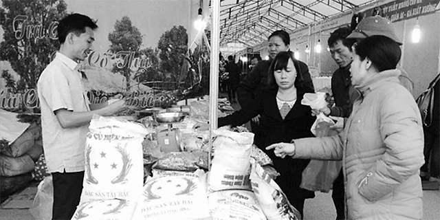 Phiên chợ "Đưa hàng Việt về nông thôn, miền núi" do Sở Công thương Hà Nội tổ chức tại huyện Đông Anh (Hà Nội).