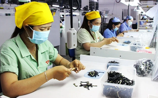Sản xuất thiết bị phụ trợ từ nhựa tại Công ty TNHH TPR Việt Nam (KCN Việt Nam - Xin-ga-po II A, Bình Dương).