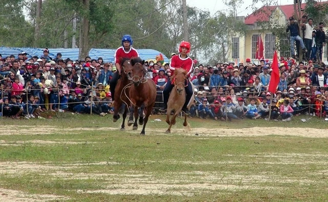 Phú Yên: Sôi động hội đua ngựa truyền thống Gò Thì Thùng