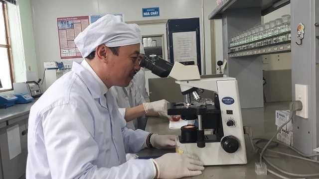 Công bố quốc tế về hoạt chất mới trị tiểu đường từ dây thìa canh Việt Nam