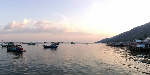 Ngẫu hứng Hòn Tre