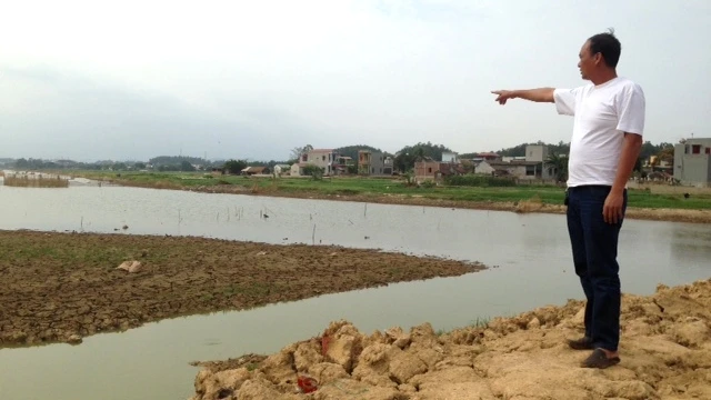 Nhiều đoạn sông Tam Ðiệp ở thị xã Bỉm Sơn (Thanh Hóa) bị bồi lắng, ảnh hưởng đến việc tích nước phục vụ sản xuất.