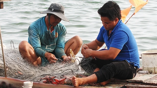 Gỡ lưới