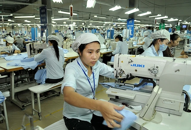 Tính đến cuối năm 2017, tỉnh Quảng Bình có hơn 827 nghìn người tham gia BHXH, BHYT. Trong ảnh: Công nhân tại một xưởng may mặc ở TP Đồng Hới (Quảng Bình).