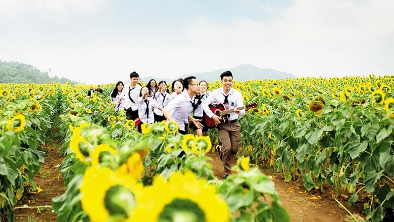 Học sinh trong chuyến du lịch trải nghiệm trên cánh đồng hoa hướng dương thuộc Trang trại TH True Milk ở Nghĩa Đàn (Nghệ An). Ảnh | Tiến Thu