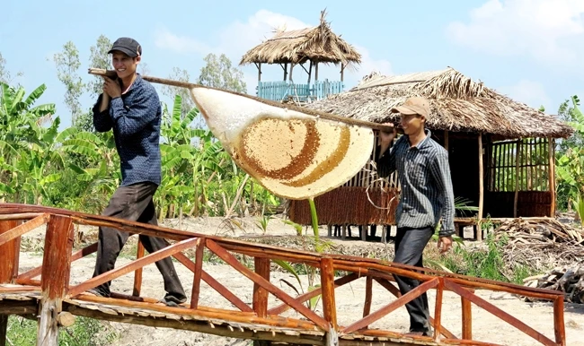 * Thợ rừng xã Khánh Bình Tây Bắc, huyện Trần Văn Thời (Cà Mau) thu hoạch mật ong rừng tràm. 