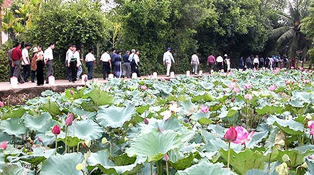Quê Bác mùa sen nở. Ảnh: SỸ MINH