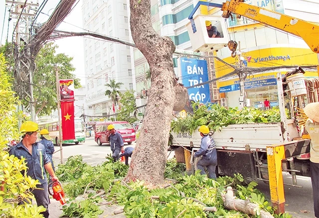 Công nhân Công ty Công viên cây xanh TP Hồ Chí Minh dọn dẹp cây xanh.