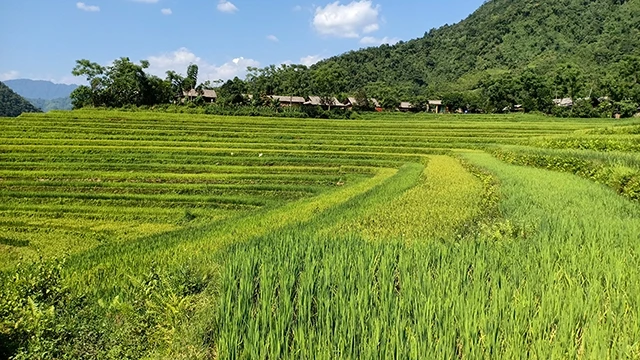 Một góc thôn Phiêng Luông.