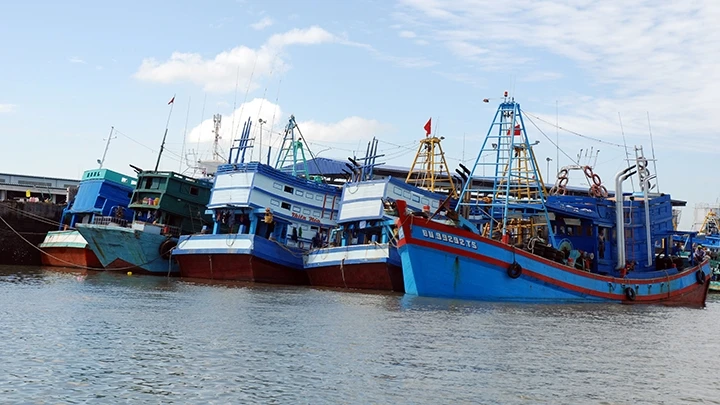 Ngư dân trên các tàu cá khi cập cảng Bà Rịa - Vũng Tàu đều được tuyên truyền về chủ trương cấm đánh, bắt thủy hải sản trái phép.