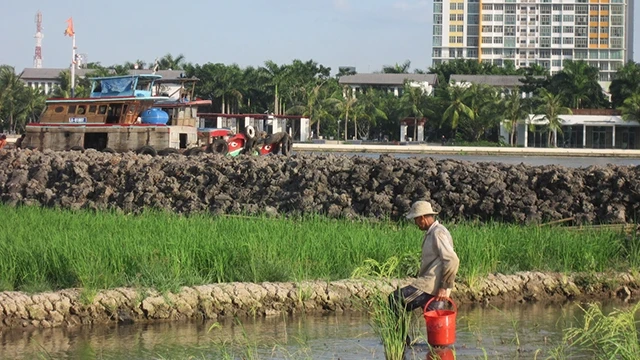 Khi triều cường, bán đảo Thanh Đa thấp hơn mặt nước sông Sài Gòn.