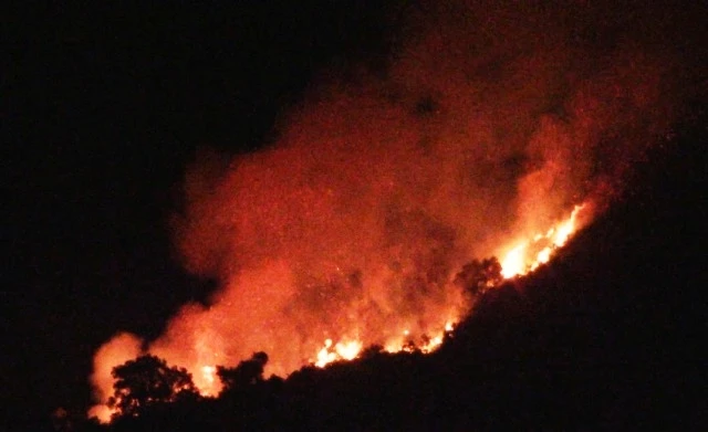 Rừng tràm cháy ngùn ngụt trong đêm 6-8.