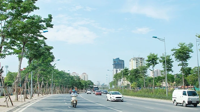 Nhiều cây xanh được trồng mới trên các tuyến phố của Thủ đô.