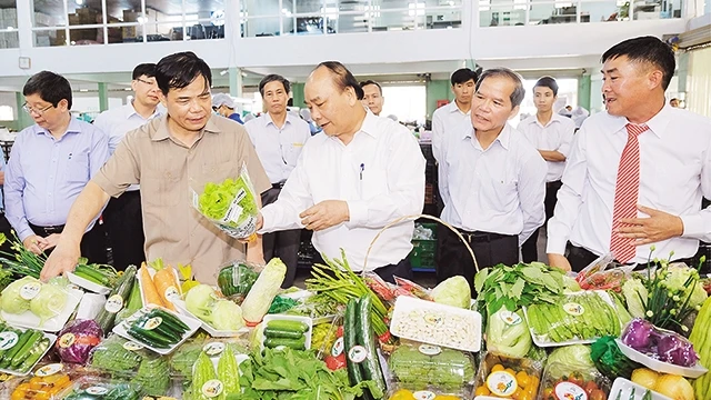 Thủ tướng Nguyễn Xuân Phúc tham quan khu đóng gói sản phẩm tại Công ty TNHH sản xuất thương mại nông sản Phong Thúy (Lâm Đồng). Ảnh: Quang Hiếu