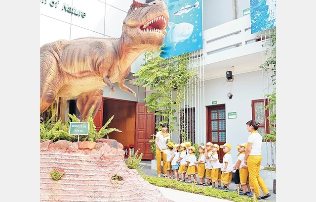 Thú vị Bảo tàng Thiên nhiên Việt Nam
