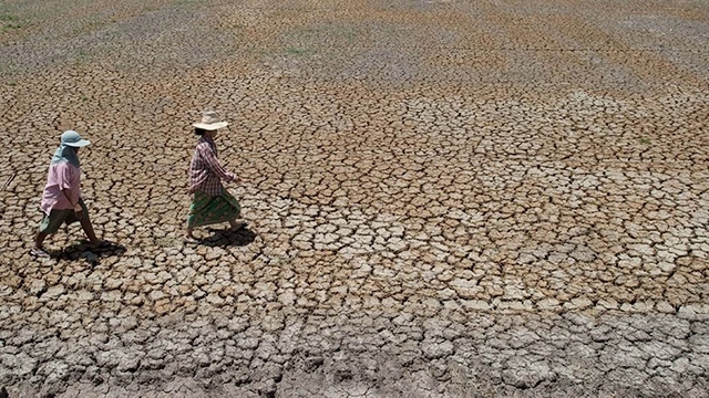 Biến đổi khí hậu gây hạn hán ở Bang Pla Ma (Thái-lan). Ảnh: THE NEW YORK TIMES