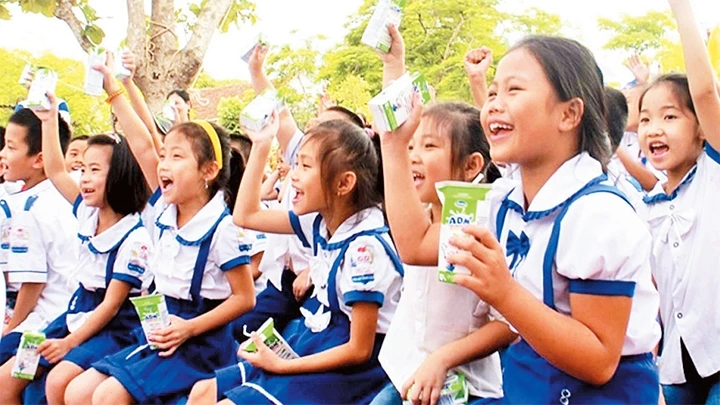 Chương trình Sữa học đường cung cấp sữa tươi cho trẻ mẫu giáo và học sinh tiểu học năm lần/tuần trong chín tháng học. Ảnh: MINH ANH