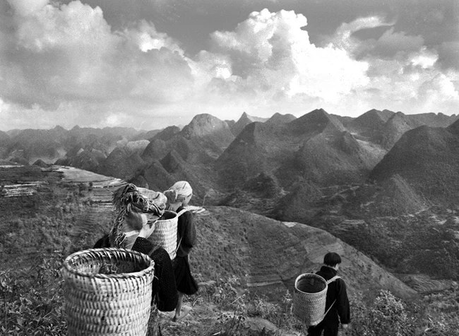 “Không gì tự nhiên, đẹp đẽ bằng chính sự sống đang diễn ra quanh ta…” .