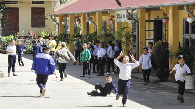 Quay quay bông vụ