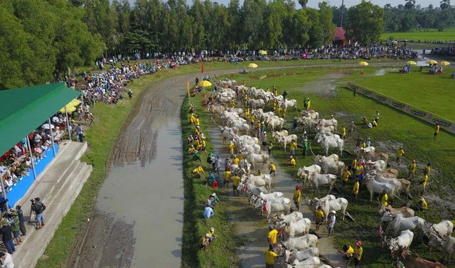64 đội bò tập trung làm lễ khai mạc trước giờ thi đấu.