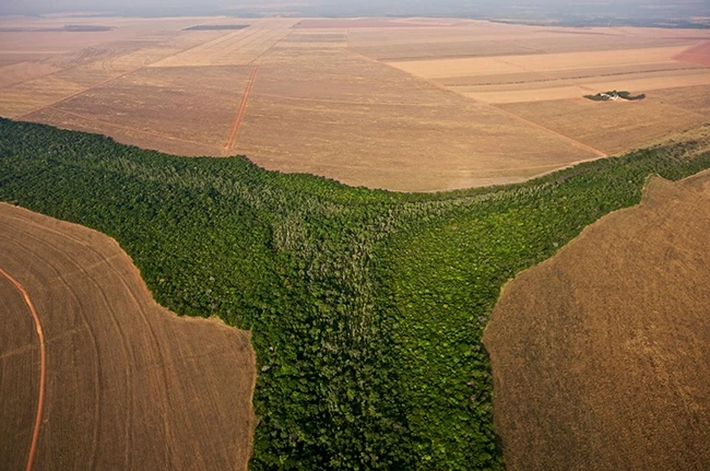 Báo cáo của IPCC chỉ ra rằng nạn chặt phá rừng tại Brazil phải được ngăn chặn triệt để, nhằm tránh tình trạng nóng lên toàn cầu diễn ra nhanh hơn. Ảnh: John Stanmeyers/ National Geographic