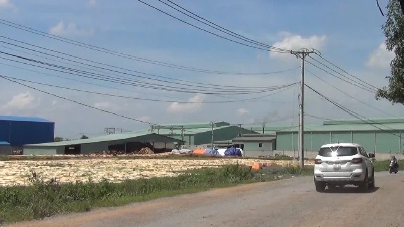 Nhiều doanh nghiệp đã xây dựng trái phép nhà xưởng tại khu vực quy hoạch Cụm công nghiệp Phước Tân.