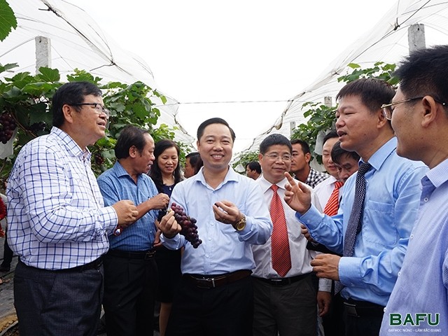 Đại biểu tham quan mô hình khảo nghiệm nho và dưa lưới tại Trường đại học Nông - Lâm Bắc Giang.