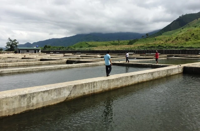 Đến nay, mặc dù chưa được cấp có thẩm quyền cấp phép nhưng cơ sở nuôi cá tầm của ông Nguyễn Văn Toản ở đầu nguồn suối Ea Krông Bông, xã Yang Mao đã được xây dựng khá hoàn chỉnh. 