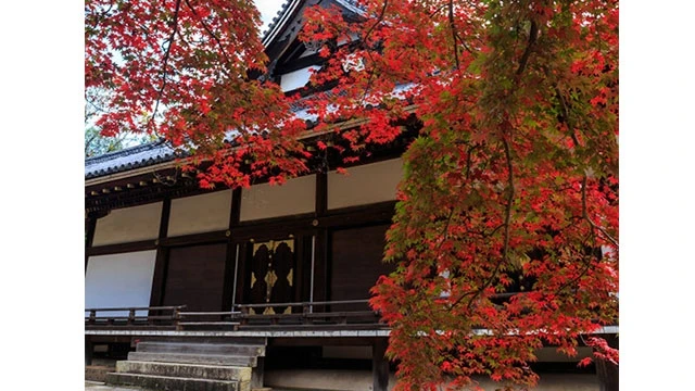 “Phải lòng” Kyoto