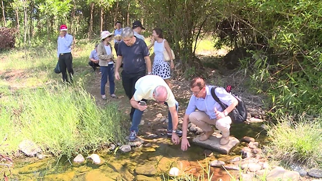 Chuyên gia Hungary khảo sát các nguồn suối khoáng nóng ở Phú Yên.