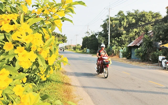 Tuyến đường kiểu mẫu Nguyễn Thị Rành.