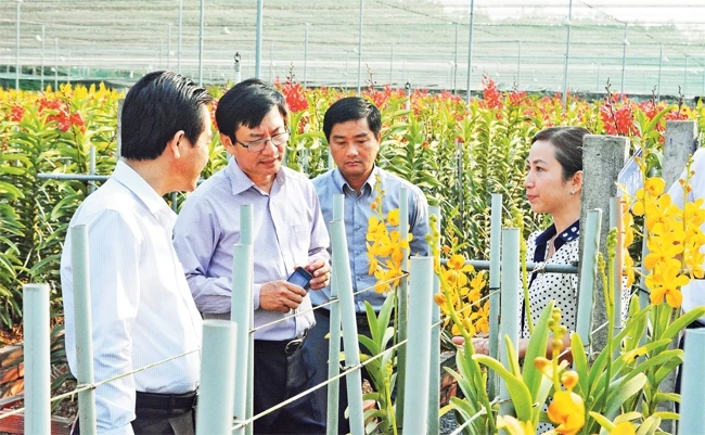 Mô hình ứng dụng công nghệ cao vào sản xuất hoa lan cắt cành tại huyện Củ Chi.