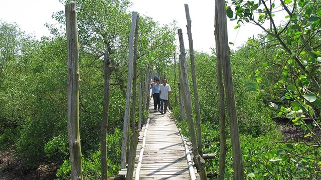 Khu du lịch sinh thái Cồn Vành (Thái Bình).
