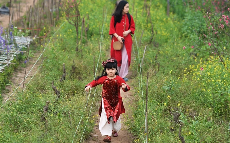 Xuân về, khắp nơi phủ một màu xanh đầy sức sống từ các chồi non đua mọc. Ảnh: THỦY NGUYÊN