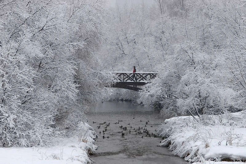 Công viên Babushkinsky sau khi tuyết rơi. (Ảnh: TASS)