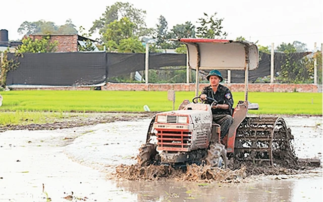 Nông dân xã Việt Hùng, huyện Ðông Anh làm đất gieo cấy lúa xuân. Ảnh: QUANG THÁI
