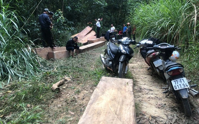 14 m3 gỗ lậu bị lực lượng chức năng huyện M’Đrắc phát hiện, bắt giữ khi các đối tượng đang tập kết trong rừng. 
