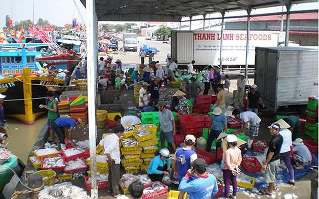 Ngư dân huyện Trà Cú, Trà Vinh bốc dỡ hải sản tại cảng cá Định An. Ảnh: THANH HUYỀN