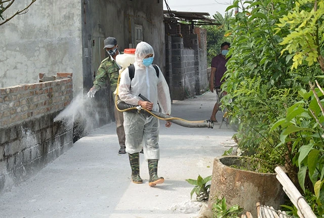 Lực lượng thú y địa phương căng mình phun thuốc tiêu độc khử trùng, rắc vôi bột bao vây các ổ dịch.