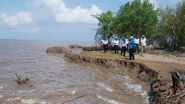 Sạt lở bờ biển đe dọa nhiều khu dân cư ở Cà Mau. Ảnh: tienphong.vn