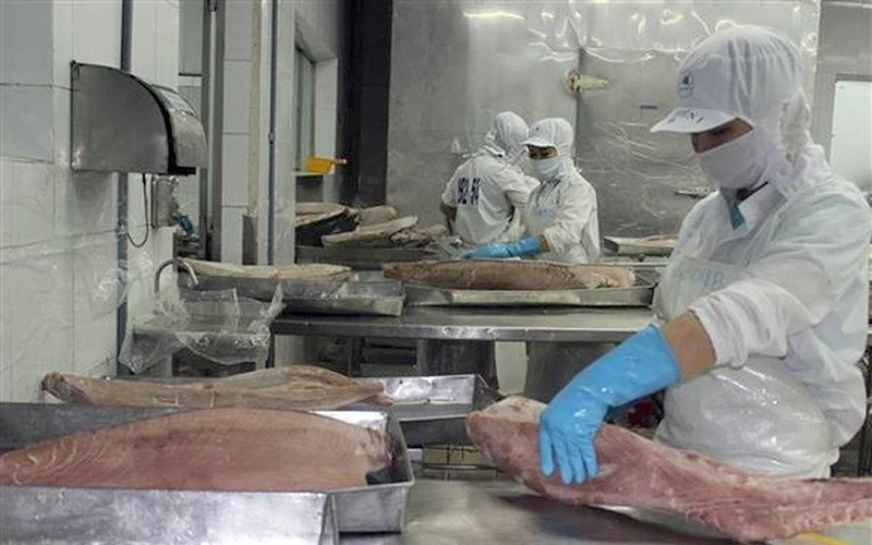 Doanh nghiệp chế biến cá ngừ kêu cứu vì quy định khó thực thi của Thông tư 36/2018.
